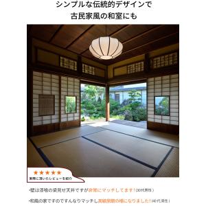 (安心の日本製器具) 電球透けない ペンダント...の詳細画像4
