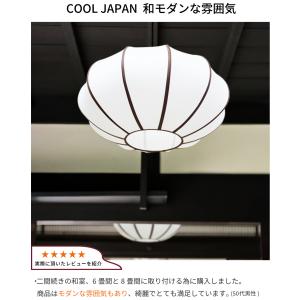 (安心の日本製器具) 電球透けない ペンダント...の詳細画像5
