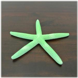 ヒトデ 置物 グリーン ハワイアン雑貨 置物 ハワイ 雑貨 ハワイアン グッズ スターフィッシュ Hawai 西海岸 西海岸風