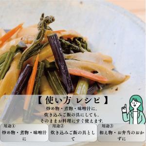 わらび水煮 3パック 天然 秋田産 無添加 山...の詳細画像1