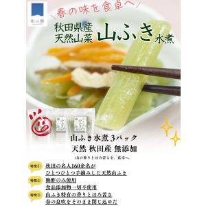 山ふき水煮 3パック 天然 秋田産 無添加 山...の詳細画像2