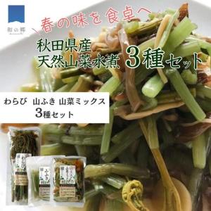 山菜水煮 3種セット 天然 ふき わらび ミック...の商品画像