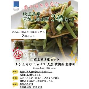 山菜水煮 3種セット 天然 ふき わらび ミッ...の詳細画像2