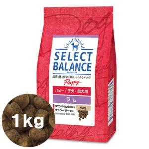 SELECT BALANCE セレクトバランス エイジングケア ラム 小粒 7才