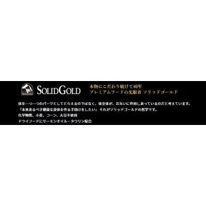 クーポン有) 室内猫用 ソリッドゴールド イン...の詳細画像1