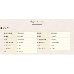 クーポン有) 室内猫用 ソリッドゴールド イン...の詳細画像3