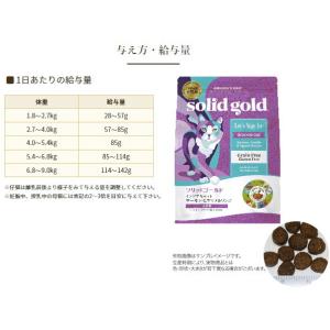 クーポン有) 室内猫用 ソリッドゴールド イン...の詳細画像4