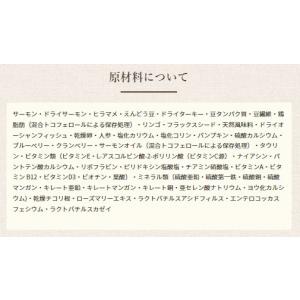 クーポン有) 室内猫用 ソリッドゴールド イン...の詳細画像5