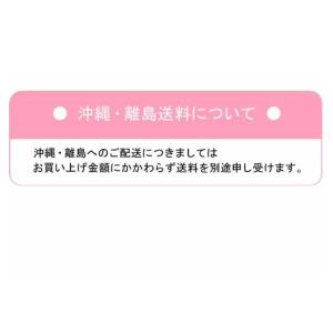 【 送料無料 】(消費期限:2029年11月1...の詳細画像5