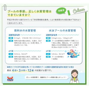 DPD 高濃度 残留塩素 測定用 錠剤 試薬 ...の詳細画像4