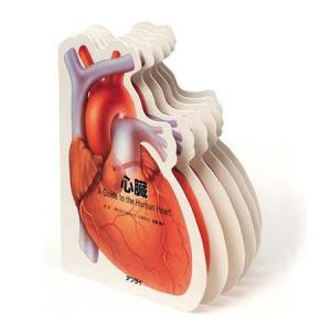 アプライ 型抜き絵本 心臓 TP003の商品画像