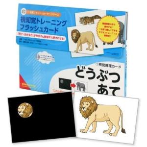 〈TOSSオリジナル教材〉「1分間フラッシュカード（R）」シリーズ　視知覚トレーニングフラッシュカード