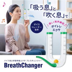 【在庫限り アウトレット】ブレスチェンジャー ...の詳細画像1