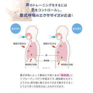 【在庫限り アウトレット】ブレスチェンジャー ...の詳細画像2