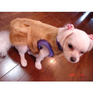 小型犬 毛皮 コート サファイヤミンク 裏地付き 2号サイズ