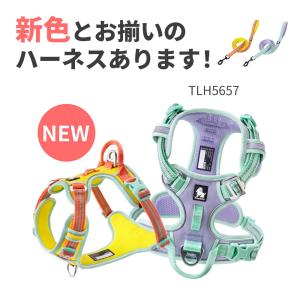 犬 リード 散歩用 おしゃれ 小型犬 中型犬 ...の詳細画像2