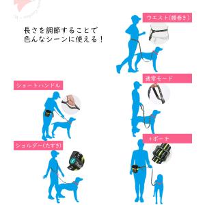 犬用リード 伸縮式 カラビナ スクリューロック...の詳細画像1