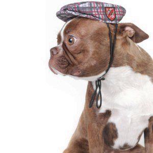 犬の帽子【チェック_ハンチング】犬用ハンチング/ペットの帽子/犬用品/犬グッズ｜wanwan3dogs