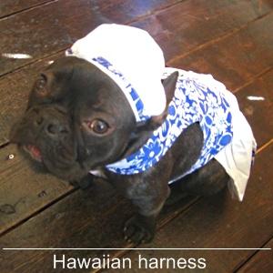 SALE!50%OFF/犬のハーネス【Hawaiian】胴輪/お散歩犬用品｜wanwan3dogs