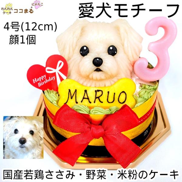 犬用ケーキ 誕生日 無添加 似顔絵 立体 オーダー 4号 12cm 中型犬 わんこ乗せ わんわんケー...
