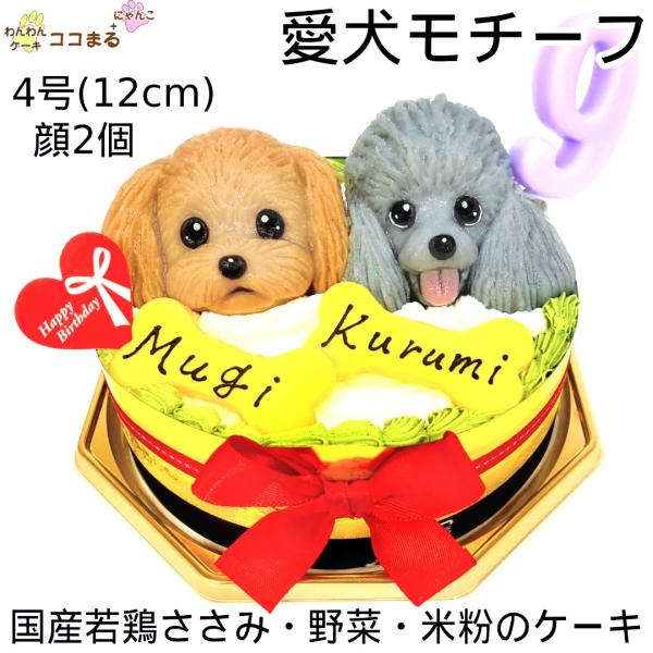 犬用ケーキ 誕生日 無添加 オーダー 似顔絵 立体 2個 4号 12cm わんこ乗せ わんわんケーキ...