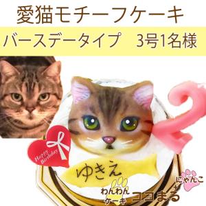 猫用ケーキ/愛猫モチーフ/バースデー/1名様/３号〜4号