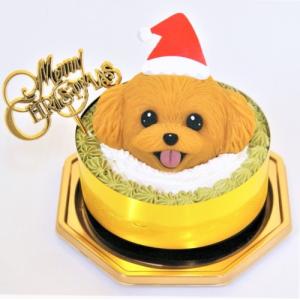 犬用ケーキ/愛犬モチーフ/クリスマスケーキ