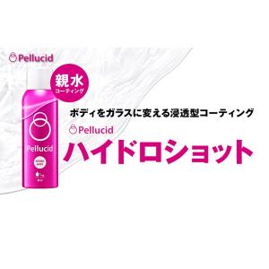 お徳用2本セット ペルシード(pellcid)...の詳細画像1