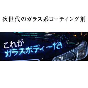 グラシアス2本セット ガラスコーティング剤 半...の詳細画像2