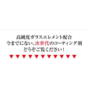 グラシアス2本セット ガラスコーティング剤 半...の詳細画像3
