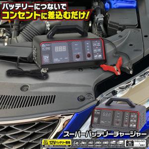 ACDelco ACDelco ACデルコ AD-2001 6V/12V全自動バッテリー