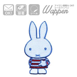 Champion（チャンピオン） ワッペン ロゴ (スパークプラグス) アイロン