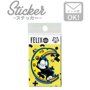 BLACKCATS　ワッペン　ステッカー Felisi（フェリージ） ワッペン アイロン おしゃれ 刺繍 ステッカー