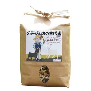 古代米 お米 米 aburabi 埼玉県産 蓮田のジョージさんちの山羊が育てた古代米 赤米 黒米 緑米 彩のかがやき 玄米4種同一比ブレンド 1Kg HSJ-01