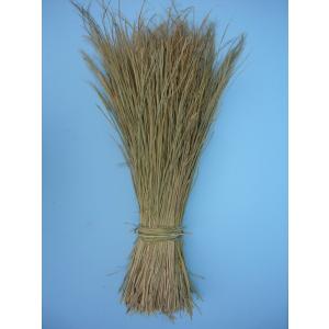 稲藁 国産無農薬栽培稲わら工芸品用3kg 和楽　商品番号013