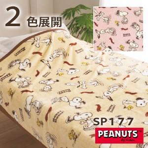 毛布 シングル 西川 スヌーピー(SNOOPY)  SP177・ニューマイヤー 毛布 シングル：140×200cm｜waraoha