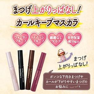 キャンメイク クイックラッシュカーラー 3.4...の詳細画像3