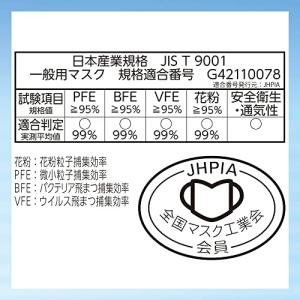 (日本製 PM2.5対応)超立体マスク スタン...の詳細画像4