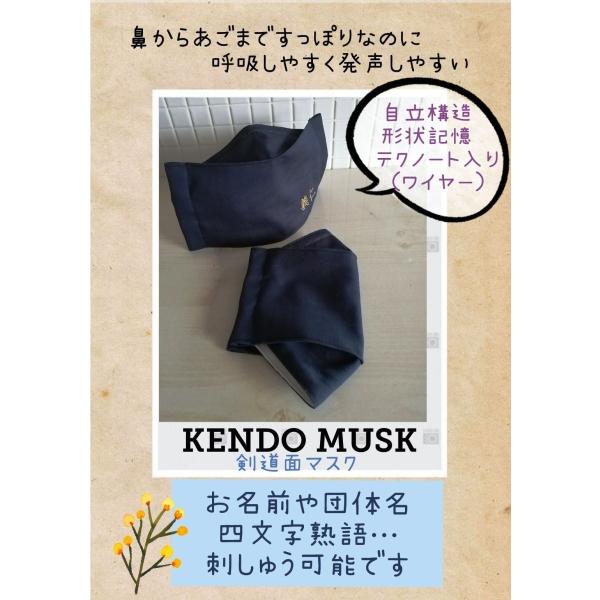 パステルカラー追加　剣道　息や発声がしやすい　稽古に　面マスク　素振り　感染症対策に　飛散防止　Lサ...