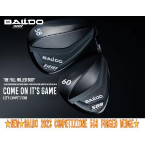 2025年10月】ノーメッキ ウェッジ（BALDO／ウェッジ）のおすすめ