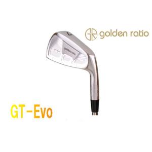 Golden Ratio ゴールデン レィシォ GT-Evo アイアン 7-P(5本セット) + カ...