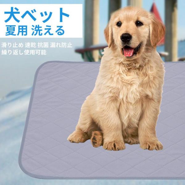 犬ベット 用品 トイレマット 夏用 洗える ペットシーツ トイレシート 猫犬 洗えるペットシーツ お...