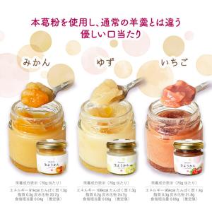 【瓶詰め 生ようかん6瓶】新食感! なめらか ...の詳細画像3