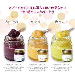 【瓶詰め 生ようかん6瓶】新食感! なめらか ...の詳細画像4