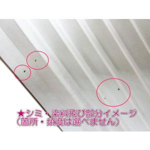 【訳有り 少難あり】 扇子 女性用 和柄 手描...の詳細画像5