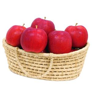 竹嶋有機農園の美味しいりんご（サン紅玉）4.5kgA品（23~25玉）｜waseda