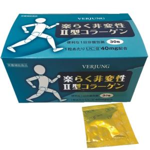 リッチコルジェン12000 中京医薬品 楽天市場】コラーゲン ヒアルロン酸 美容 ドリンク リッチコルジェン