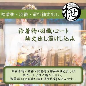 袷着物他袖丈だし（筋けし代込み）