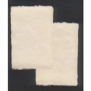 耳付きはがき 未晒（きなり） 郵便番号枠なし　 １０枚入　