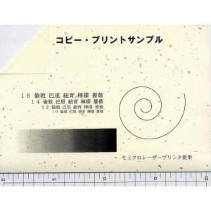 金銀砂子大礼紙 クリーム色 A4判 10枚入りの詳細画像1